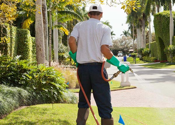 About Scituate MA Pest Control Pros